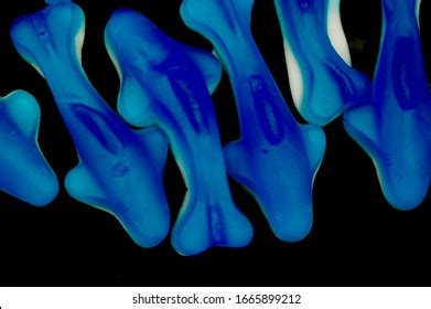 62 Gummy Shark Images, Stock Photos & Vectors | Shutterstock