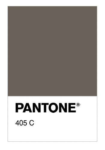 Colore Pantone® 405 C Numerosamenteit