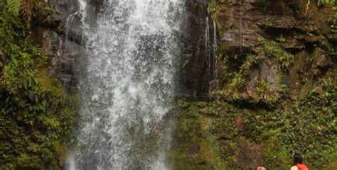 Hiking Waterfalls In Panama Boquete Trails Sightseeing