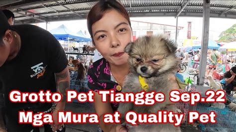 Grotto Pet Tiangge Sep Mga Mura At Quality Pet Youtube