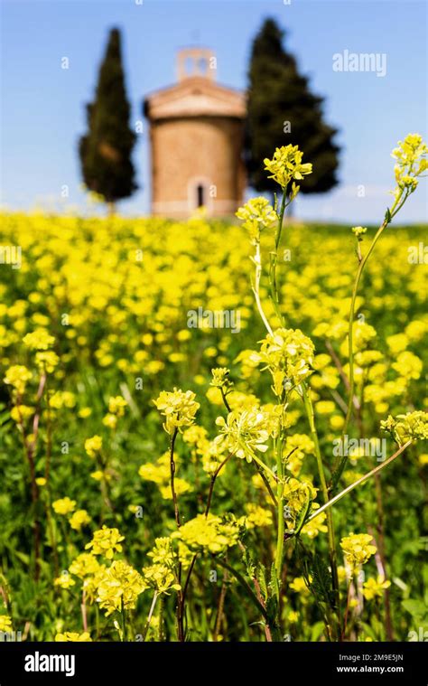 Cappella Della Madonna Di Vitaleta A Famous Chapel In The Val D Orcia