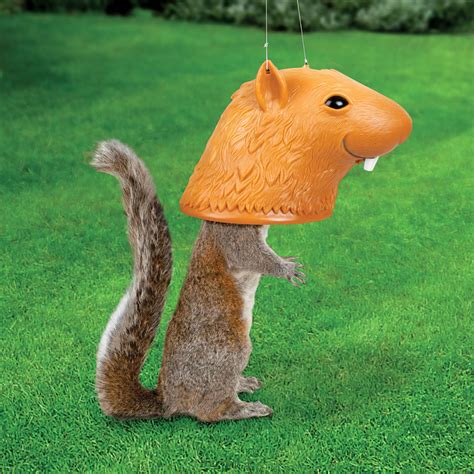 The Squirreliest Squirrel Feeder - Hammacher Schlemmer