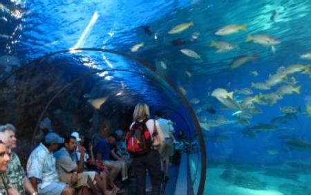 Maui Ocean Center | Maui Aquarium | Maui Things to Do