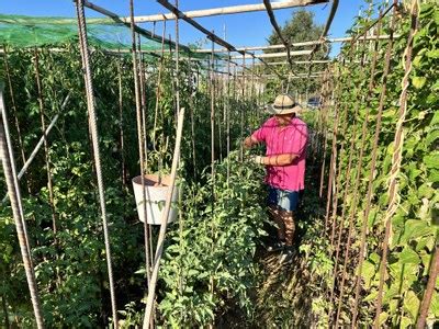 La Paeria abre un nuevo período de solicitudes para obtener un huerto