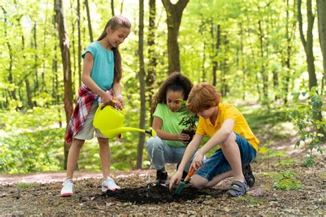 Ni Os Plantando Juntos En El Bosque Foto Premium