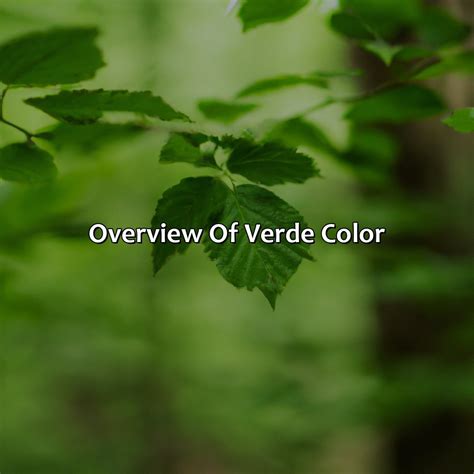 What Color Is Verde - colorscombo.com