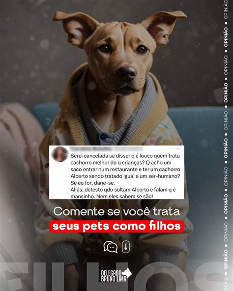 Delegado Bruno Lima on Twitter Comentário que viralizou na Internet