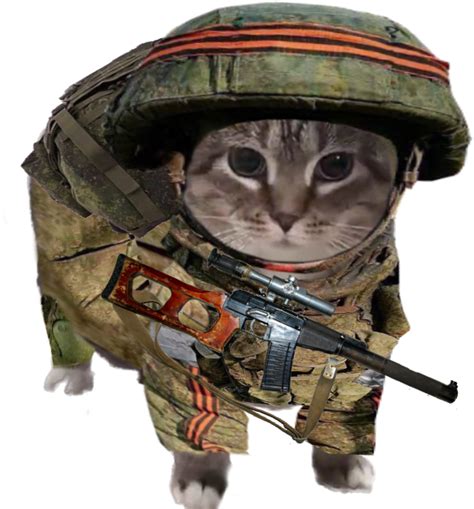 Russian Cat Blank Template Imgflip