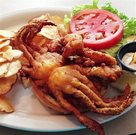 Soft-Shell Crab Sandwich From Blue Crab in Bethany Beach, DE [534x531 ...