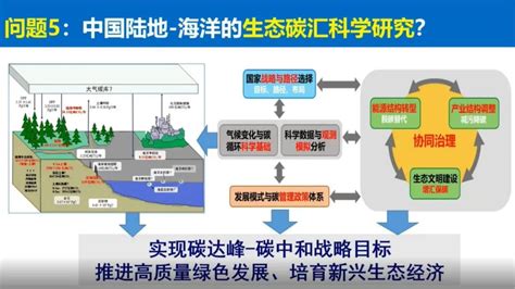 于贵瑞院士：陆地生态系统的碳汇潜力及增汇技术途径新浪财经新浪网