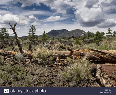 Sunset crater volcano arizona hi-res stock photography and images - Alamy