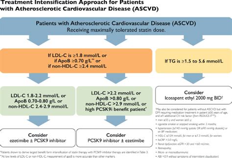 Zona De Salud De Ofra 2021 Canadian Cardiovascular Society