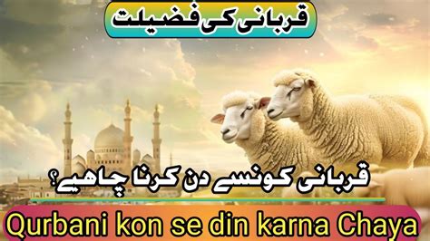 Qurbani Kon Se Din Karna Chaya Qurbani Me Fazilatap Ke Masail