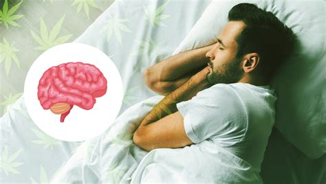 5 Beneficios De Salud De Los Comestibles De Cannabis Semillas De