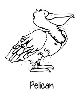 Louisiana State Bird Coloring Page