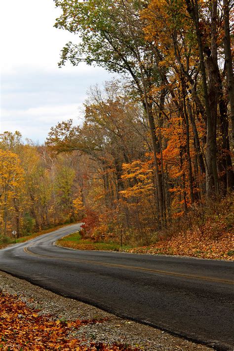 Autumn Road Trip 2 Photograph by Shawna Rowe - Fine Art America