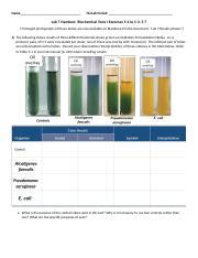 Lab 7 Handout Exercises 5 1 2 3 7 Mod FA21 1 Docx Name TA Lab