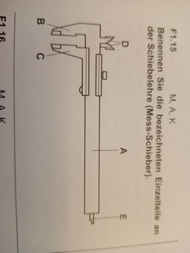 Divers Karteikarten Quizlet