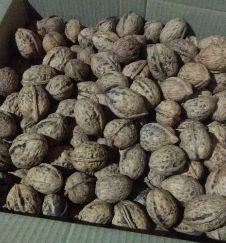 Kashmiri Walnut At Rs Kg Kashmiri Walnut In Srinagar Id