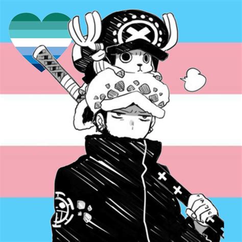 Bandera Trans Bandera Gay One Piece Law Chopper Trafalgar Law Lgbt