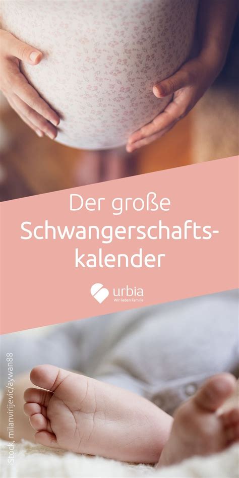 Pin Auf Schwangerschaft Pregnancy