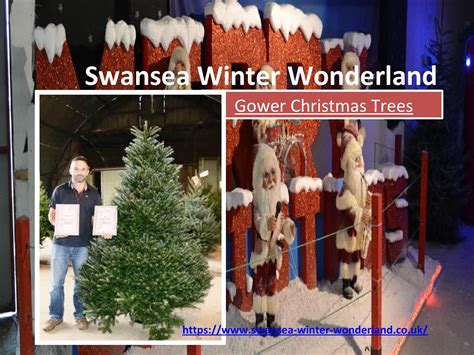 Perfect Christmas Trees from Swansea Winter Wonderland by Swansea ...