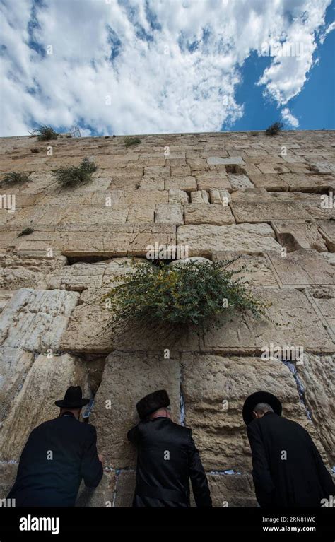 AKTUELLES ZEITGESCHEHEN JUDEN In Jerusalem Feiern Sukkot Das