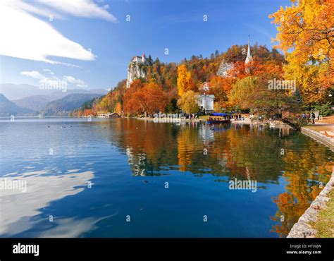 Lake Bled Slovenia Forest Stock Photos And Lake Bled Slovenia Forest