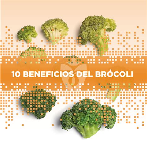 10 Beneficios Del Brócoli Cfi Reina Isabel