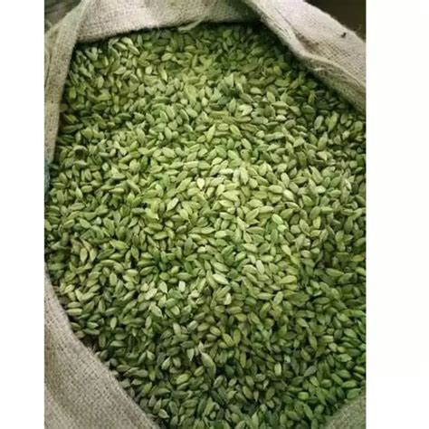 Jual Kapulaga India Kapulaga Arab Kapulaga Hijau Green Cardammom