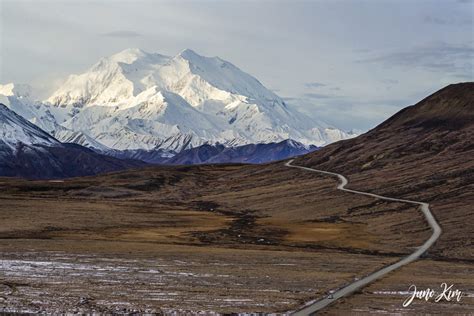 Your Complete Guide to Alaska’s Denali National Park Road Lottery