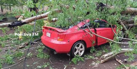 Diario HOY Árbol cayó sobre un auto en CDE conductor y su familia se