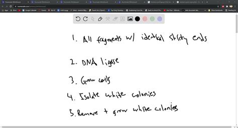 Solved A Researcher Treats A Dna Sample And Plasmid With The Amp And