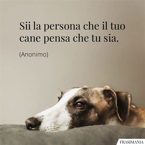 Frasi Sui Cani Con Immagini Le Pi Belle In Inglese E Italiano