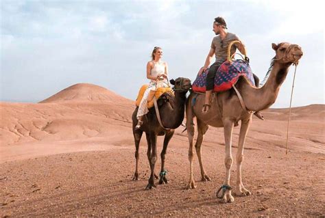 Agafay Desert Camel Ride Best Marrakech Sunset Experience