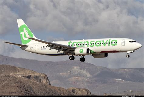 Transavia Airlines Boeing Ng Max Ph Hxo Photo Airfleets