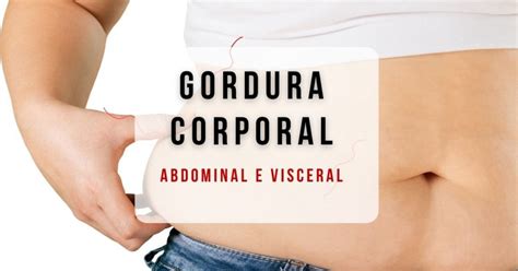 Gordura Visceral E Subcut Nea Conhe A As Diferen As