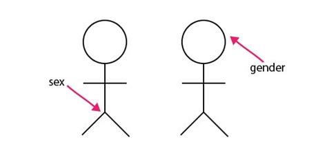 Gender Vs Sex What Are The Differences