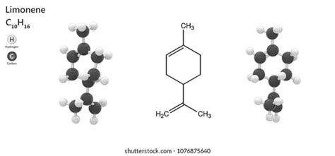 Limonene Molecular Formula C10h16 Clear Colorless 스톡 일러스트 1076875640