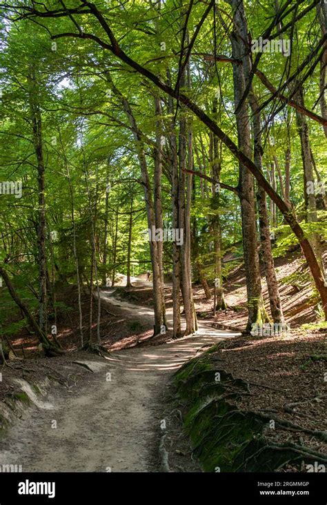 Der Nationalpark Plitvicer Seen Ist Einer Der Ltesten Und Gr Ten