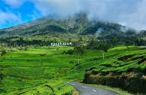 Pesona Wisata Pagar Alam Yang Tak Boleh Dilewatkan Lengkap Dengan