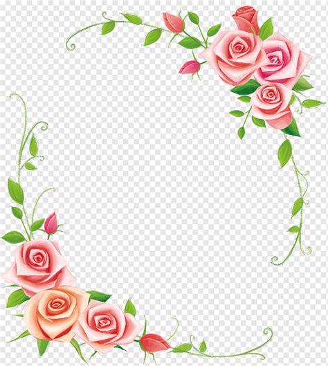 Beach Rose Cut Flowers Flower Flower Arranging Heart Flower Png