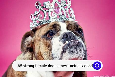 65 STRONG Female Dog Names (Actually GOOD) - Oodle Life