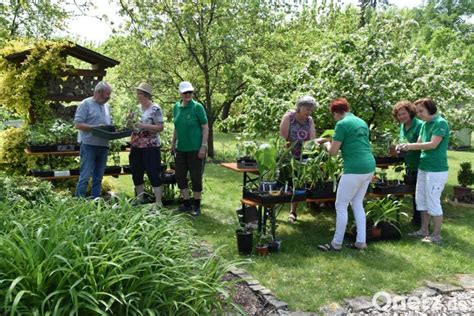 Pflanzentauschb Rse Beim Obst Und Gartenverein Weiden Onetz