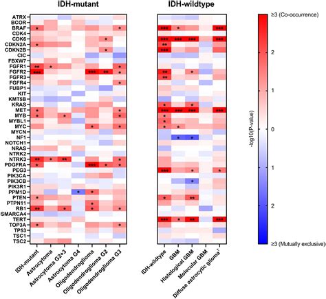 Frontiers Clinical Roles Of Egfr Amplification In Diffuse Gliomas A