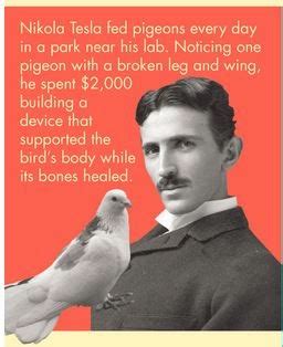 Quark Soup by David Appell: Nikola Tesla and the Pigeon