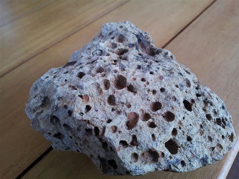 Jimologist Silicified Magnesian Limestone Of The Silkstone Formation In