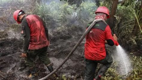 Kebakaran Hutan Dan Lahan Kian Meluas Dan Kabut Asap Semakin Parah Bnpb Kewalahan Padamkan Api