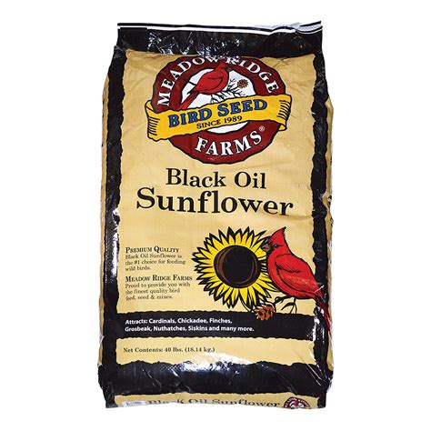 Black Oil Sunflower – ForTheBirds.com