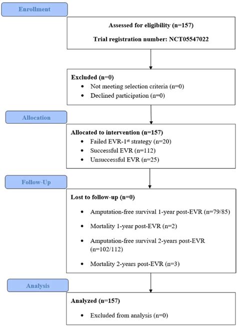 Consolidated Standard Of Reporting Trials Consort Flow Diagram